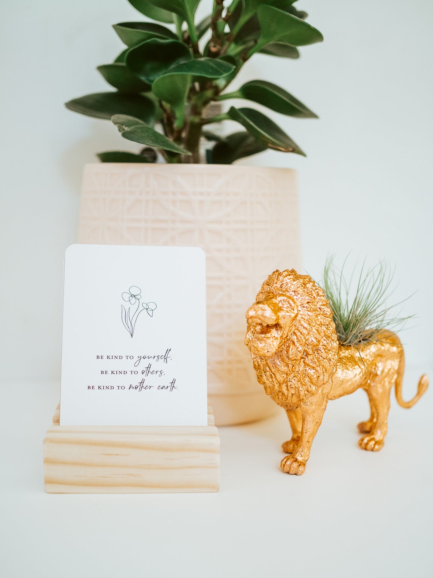 "Be kind to yourself, be kind to others, be kind to mother earth." minimalist adult affirmation cards; love and positivity; daily affirmation cards, Australian boho shop