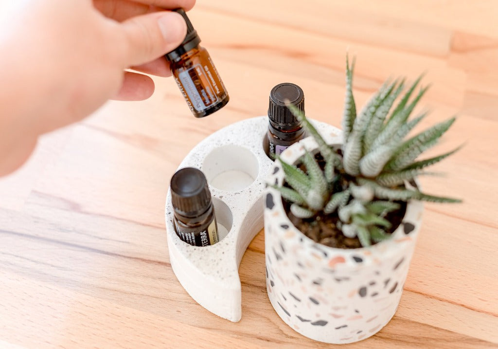 Crescent moon  essential oil tray with three essential oil bottles and a succulent plant